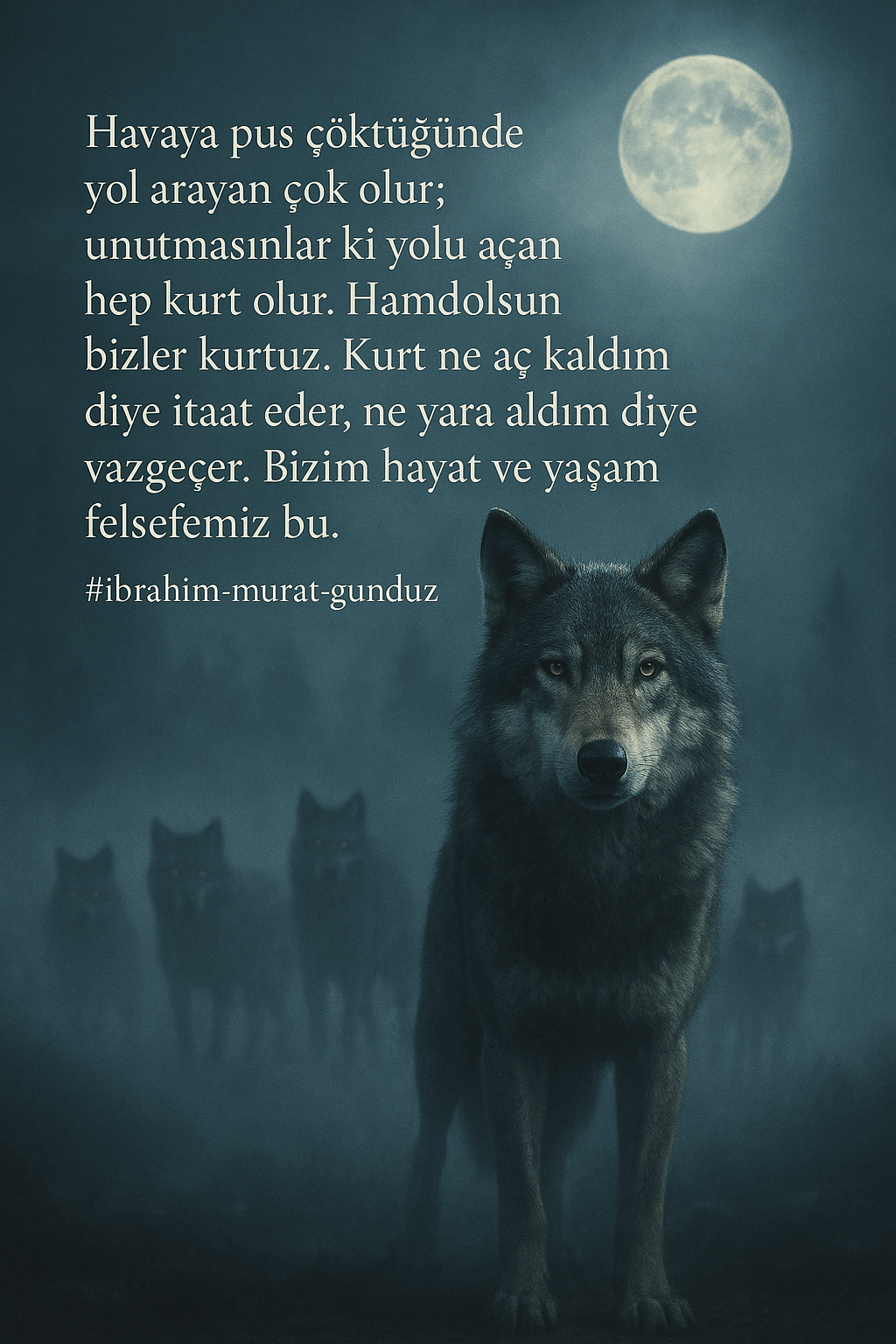 #ibrahim-murat-gunduz